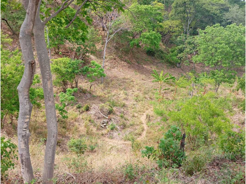Lote Cerca Al Rio Bonda Santa Marta Colombia — foto 5