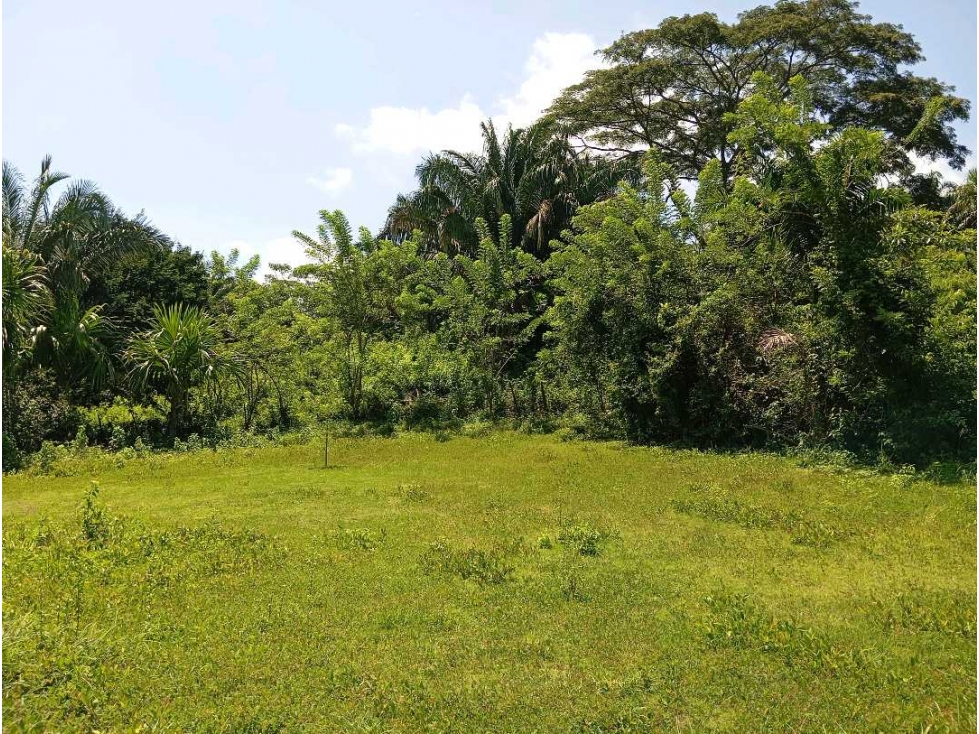 Lote cerca al río via al Parque Tayrona Santa Marta Colombia