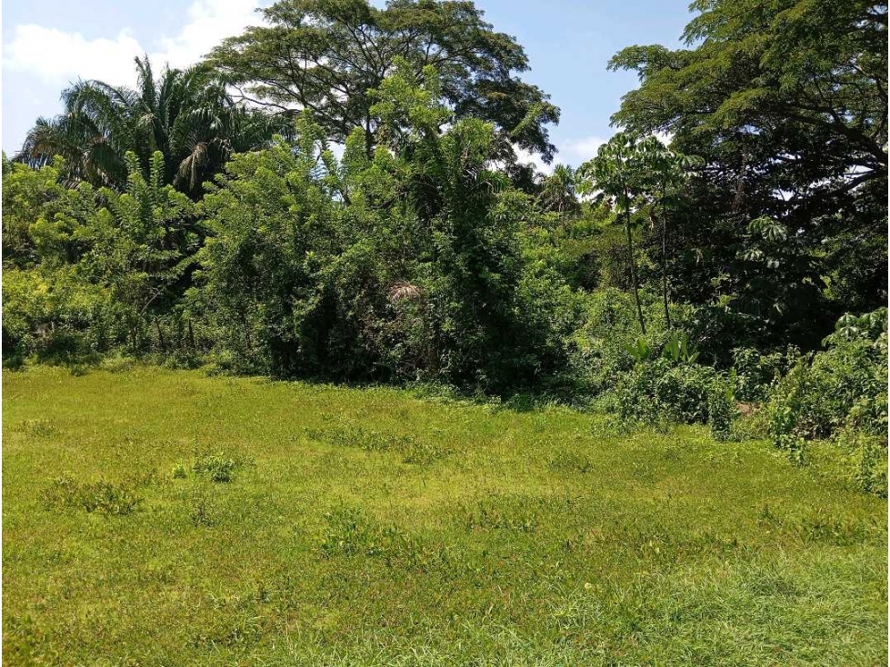 Lote cerca al río via al Parque Tayrona Santa Marta Colombia — foto 2