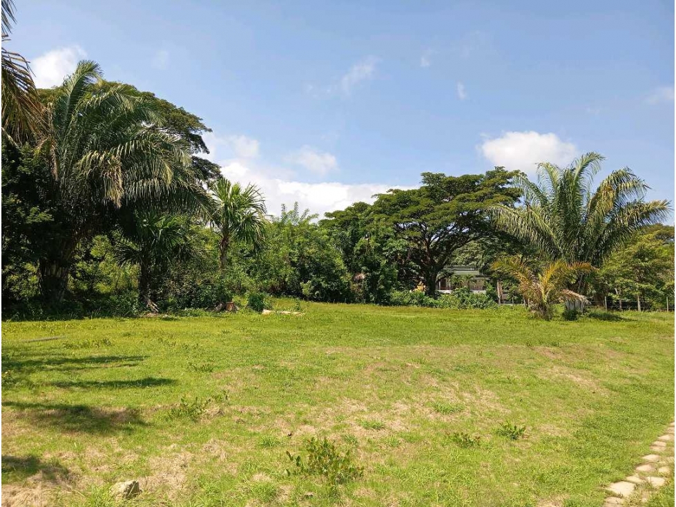 Lote cerca al río via al Parque Tayrona Santa Marta Colombia — foto 3