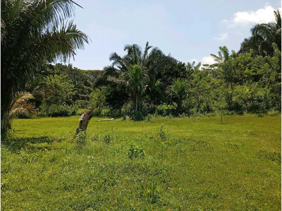 Lote cerca al río via al Parque Tayrona Santa Marta Colombia — foto 4