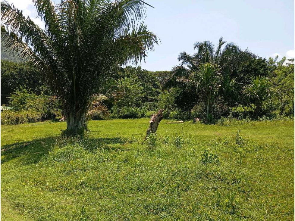 Lote cerca al río via al Parque Tayrona Santa Marta Colombia — foto 6