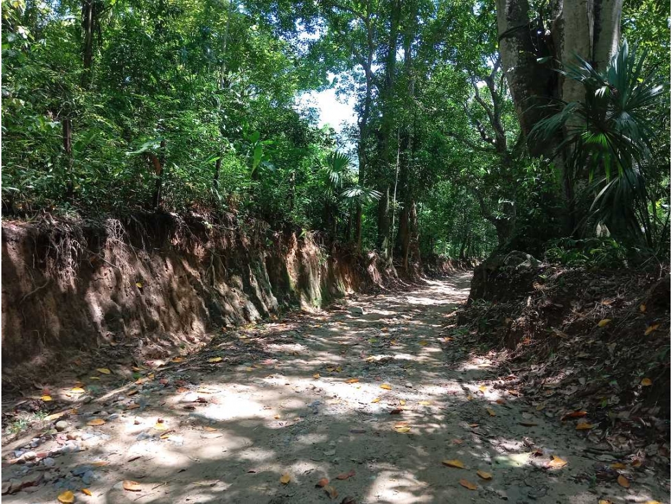 Lote cerca al río via Parque Tayrona Santa Marta Colombia
