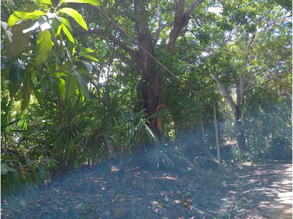 Lote cerca al río via Parque Tayrona Santa Marta Colombia — foto 2