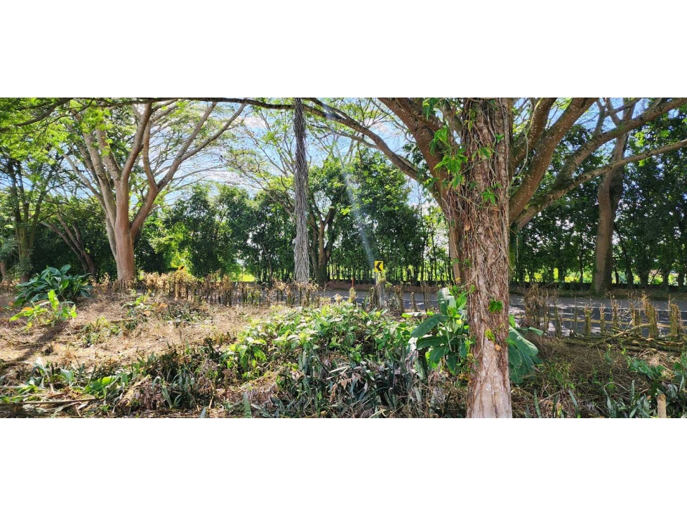Lote comercial en VENTA — foto 2