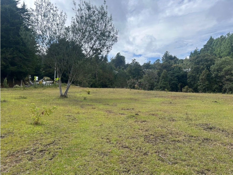 Lote Comercial y de Servicios Sector Aeropuerto Rionegro Antioquia — foto 2