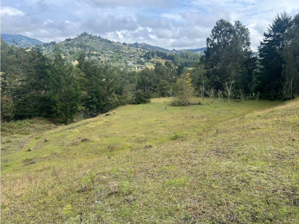 Lote Comercial y de Servicios Sector Aeropuerto Rionegro Antioquia — foto 4