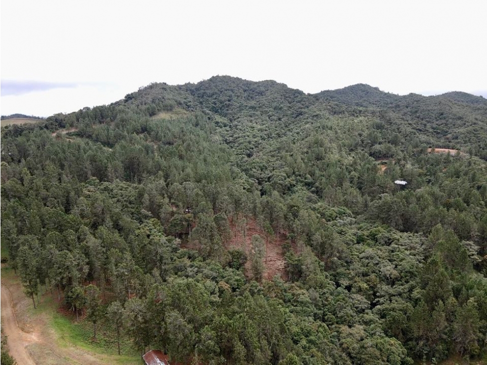 Lote Alto Palmas Sector Variante Aeropuerto (Retiro) — foto 3