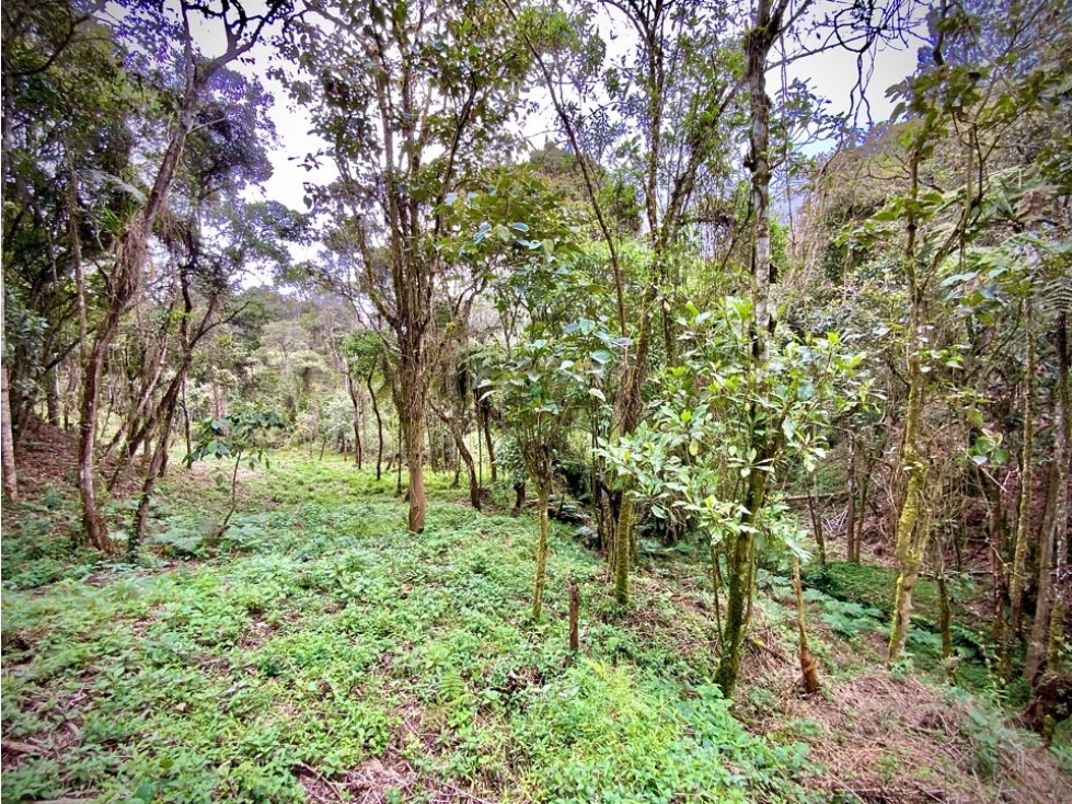 Lote Comercial Alto Palmas Sector Variante Aeropuerto (Envigado) — foto 2