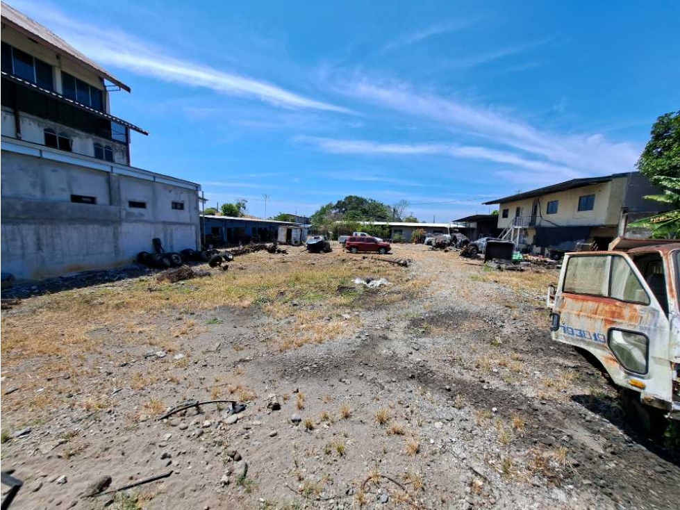 LOTE COMERCIAL DOLEGUITA - 5