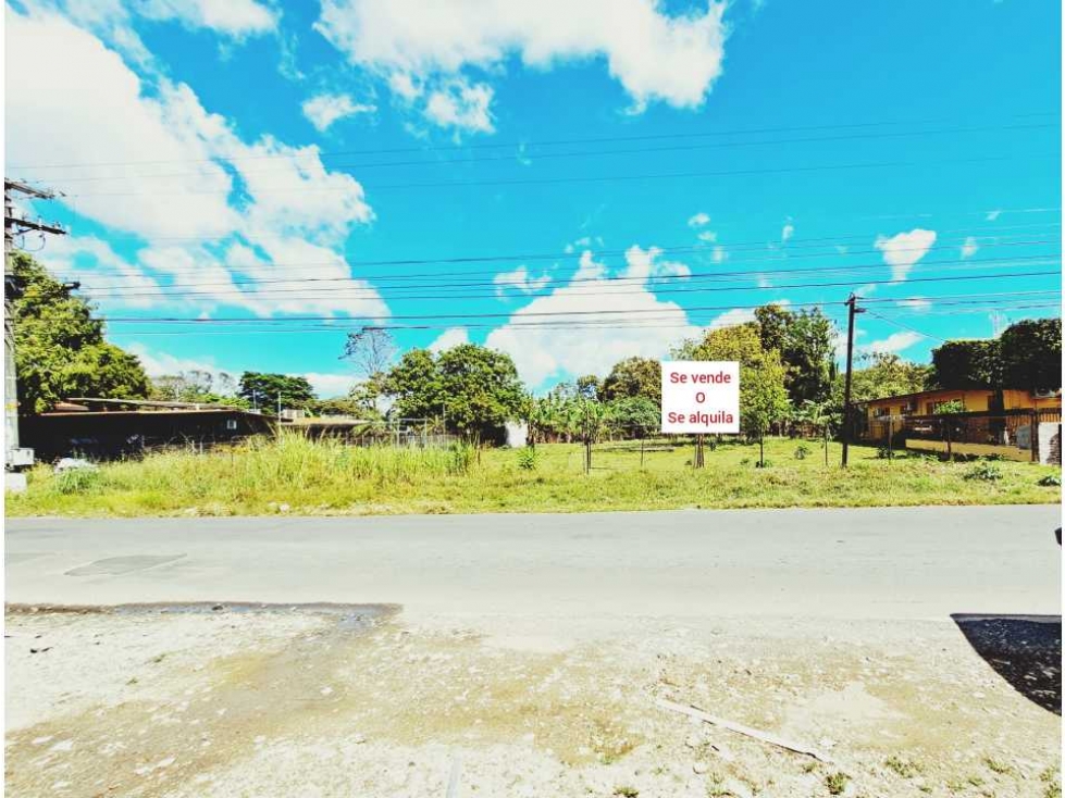 LOTE COMERCIAL EN EL CENTRO DE DAVID - 2