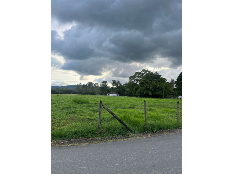 Lote Comercial en el Corazón de Llanogrande