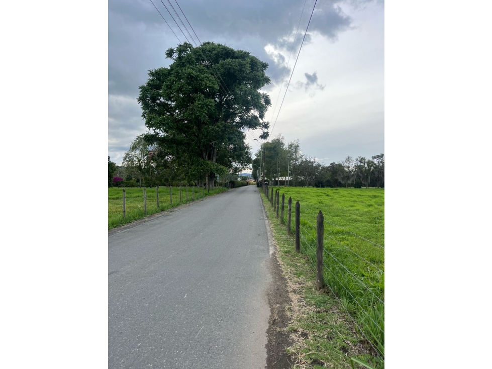 Lote Comercial en el Corazón de Llanogrande — foto 3