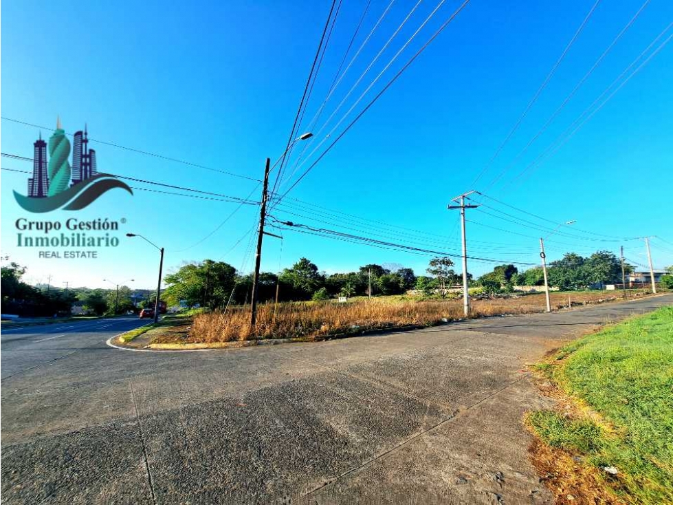 LOTE COMERCIAL EN LA PANAMERICANA - 2
