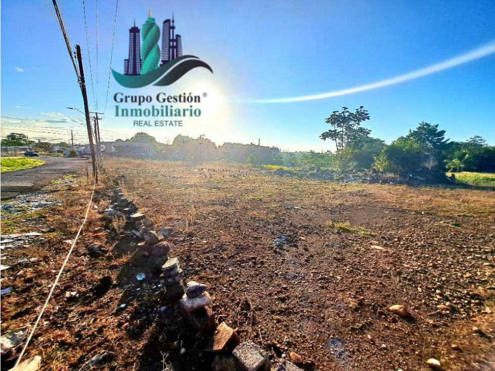 LOTE COMERCIAL EN LA PANAMERICANA - 5