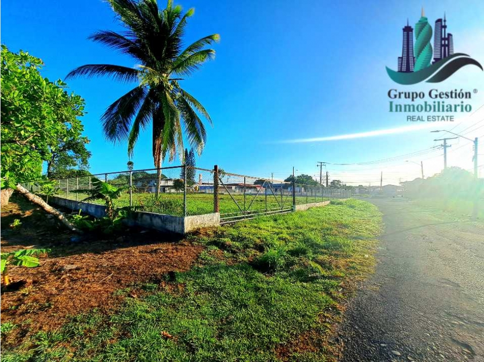 LOTE COMERCIAL EN PANAMERICANA - 6