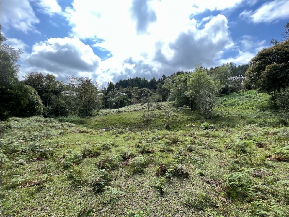Lote comercial en Rionegro