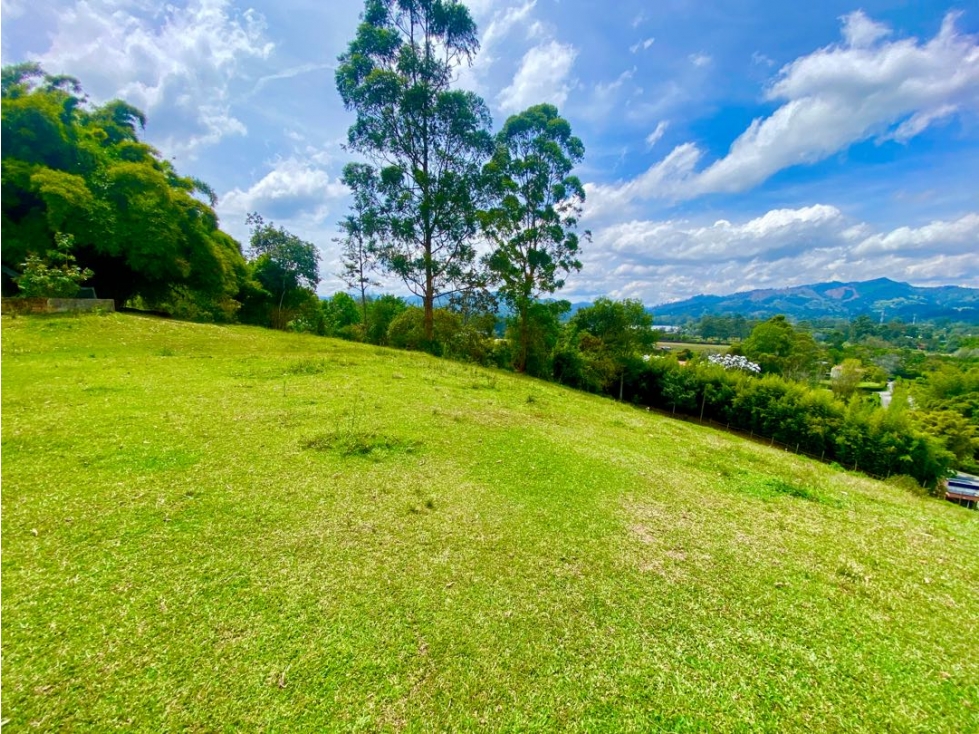 Lote Comercial para Arriendo en Llanogrande — foto 2