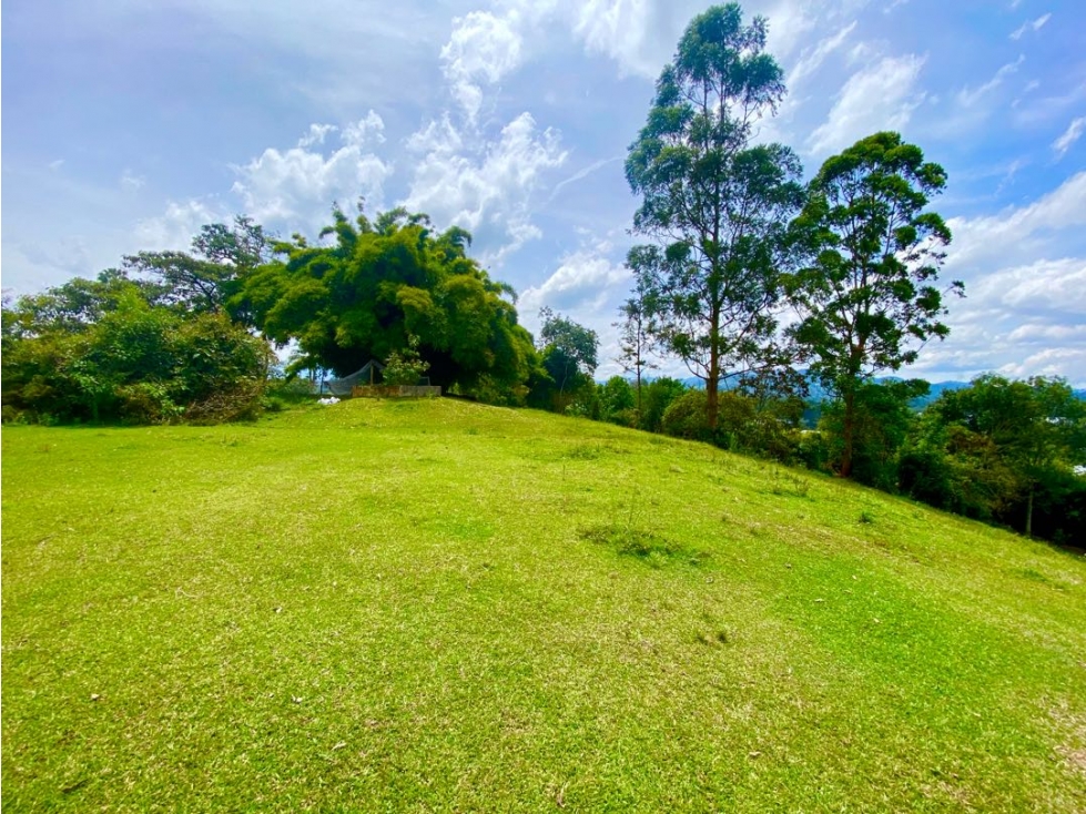 Lote Comercial para Arriendo en Llanogrande — foto 3