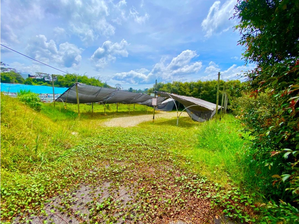 Lote Comercial para Arriendo En Rionegro via Aeropuerto — foto 4