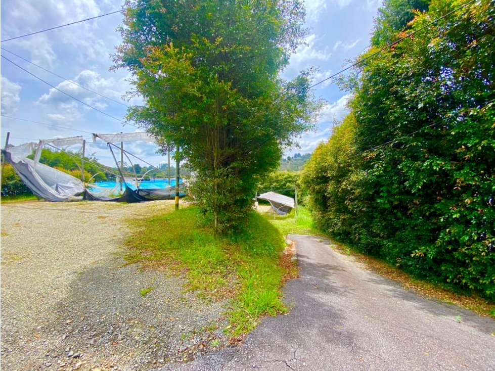 Lote Comercial para Arriendo En Rionegro via Aeropuerto — foto 6