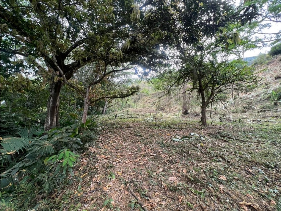 LOTE COMERCIAL | SAN JERÓNIMO, ANTIOQUIA EN VENTA M2248 - 3