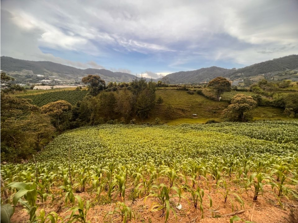 LOTE CON APROVECHAMIENTO MIXTO EN VENTA CON EXCELENTE UBICACIÓN...