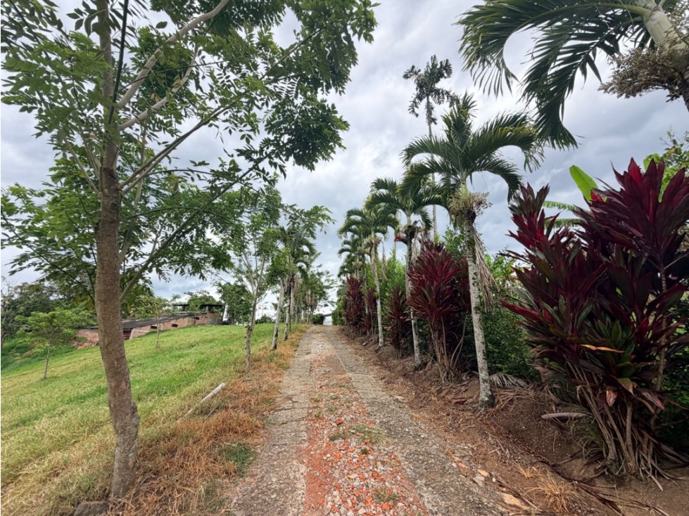 LOTE EN PARCELACIÓN VÍA ALCALÁ A 25 MINUTOS DE CUBA — foto 2