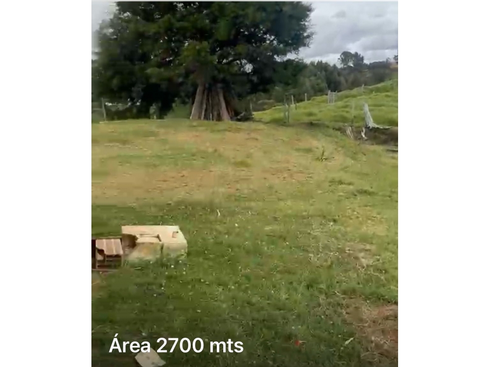 Lote con casa en San Pedro Espinal Salto del ingenio