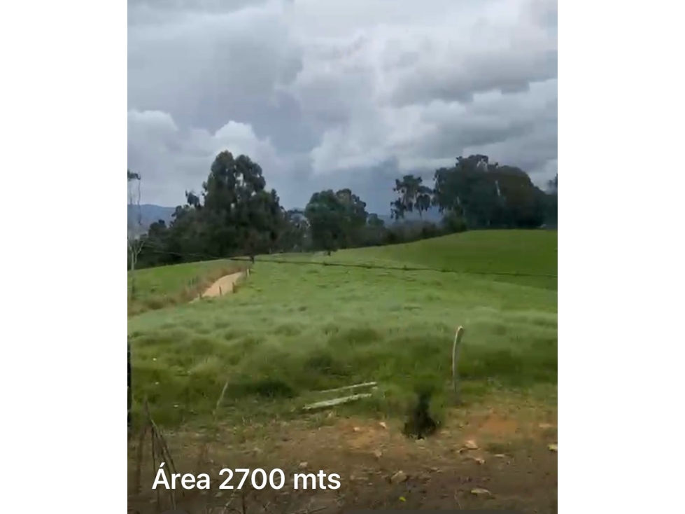 Lote con casa en San Pedro Espinal Salto del ingenio — foto 4