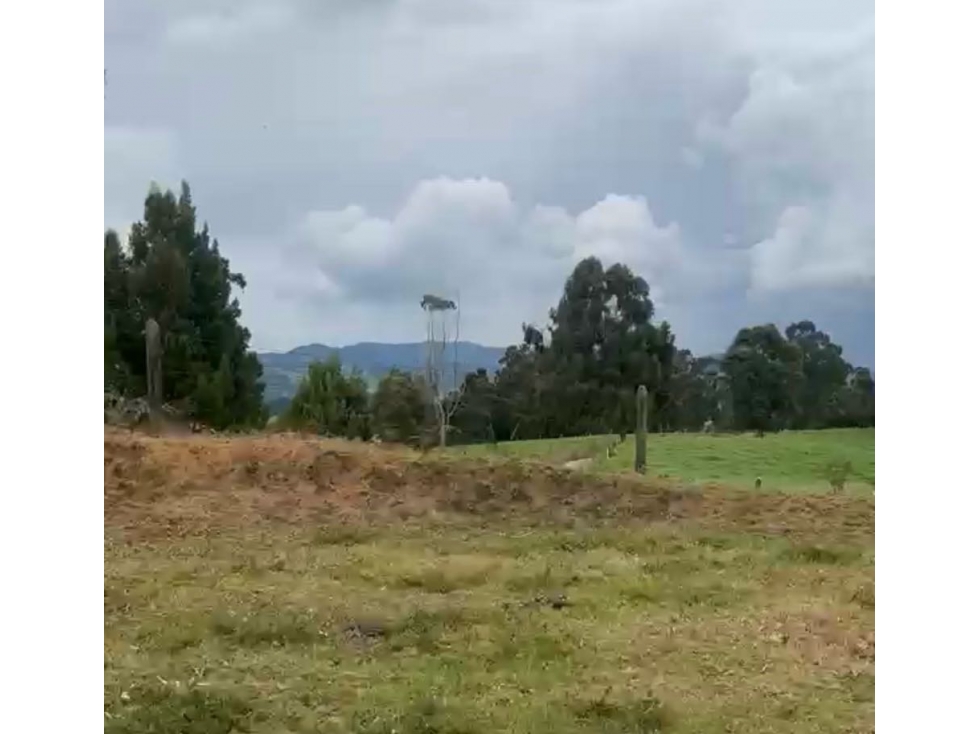 Lote con casa en San Pedro Espinal Salto del ingenio — foto 5