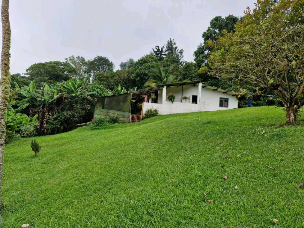 LOTE CON CASA PARA REMODELAR-FRENTE A LA BARRA DE MANOLO - DAPA - 1