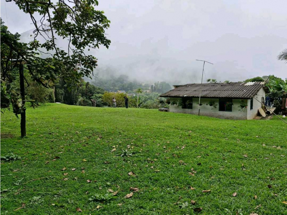 LOTE CON CASA PARA REMODELAR-FRENTE A LA BARRA DE MANOLO - DAPA - 2
