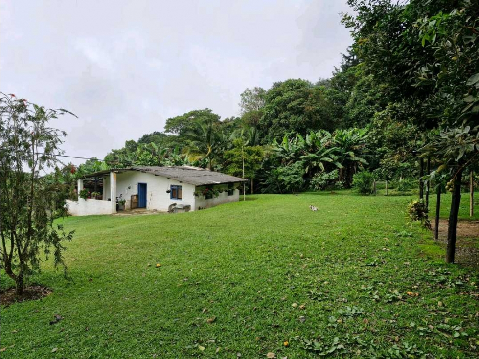 LOTE CON CASA PARA REMODELAR-FRENTE A LA BARRA DE MANOLO - DAPA - 5