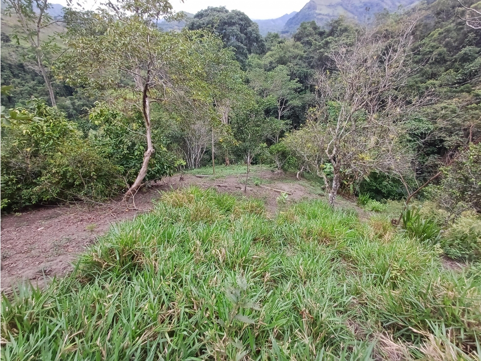 LOTE CON CONSTRUCCIÓN en Gestion - Pauna, Boyaca - 1