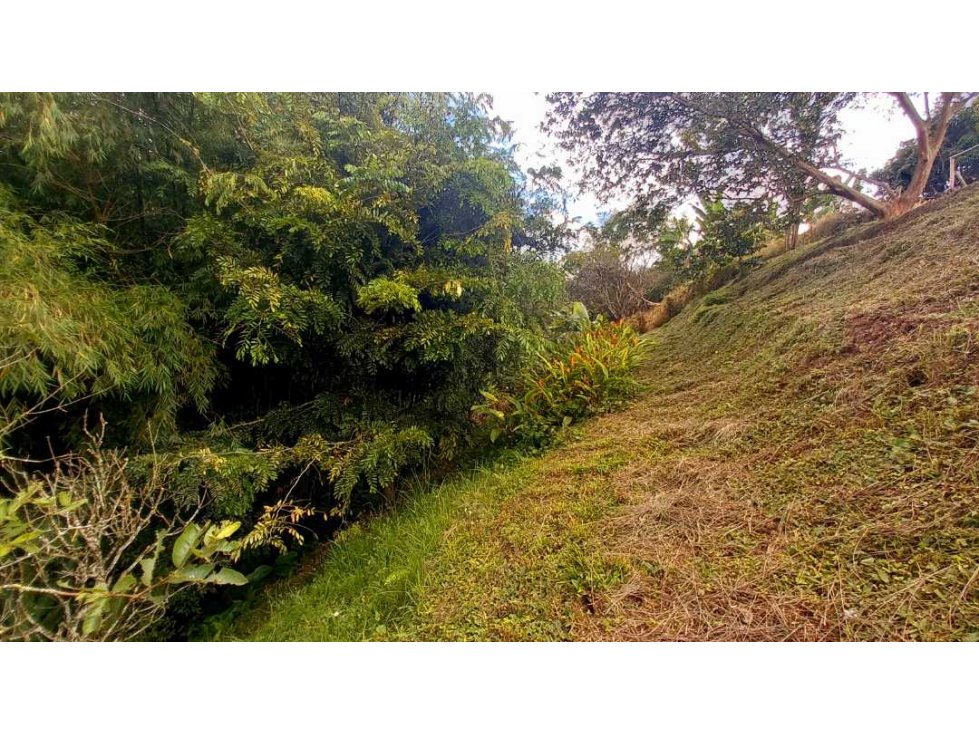 Lote con espectacular vista cerca del parque del café — foto 5