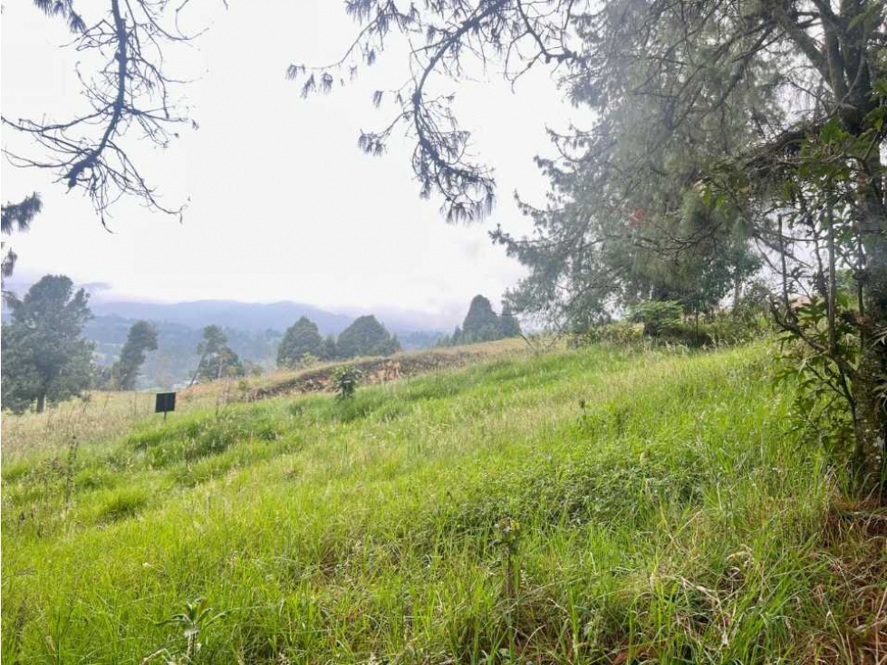 Lote con excelente vista Alto de las Palmas — foto 2
