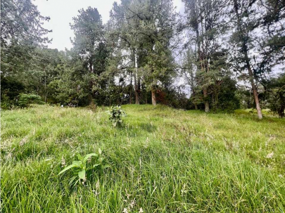 Lote con excelente vista Alto de las Palmas — foto 3