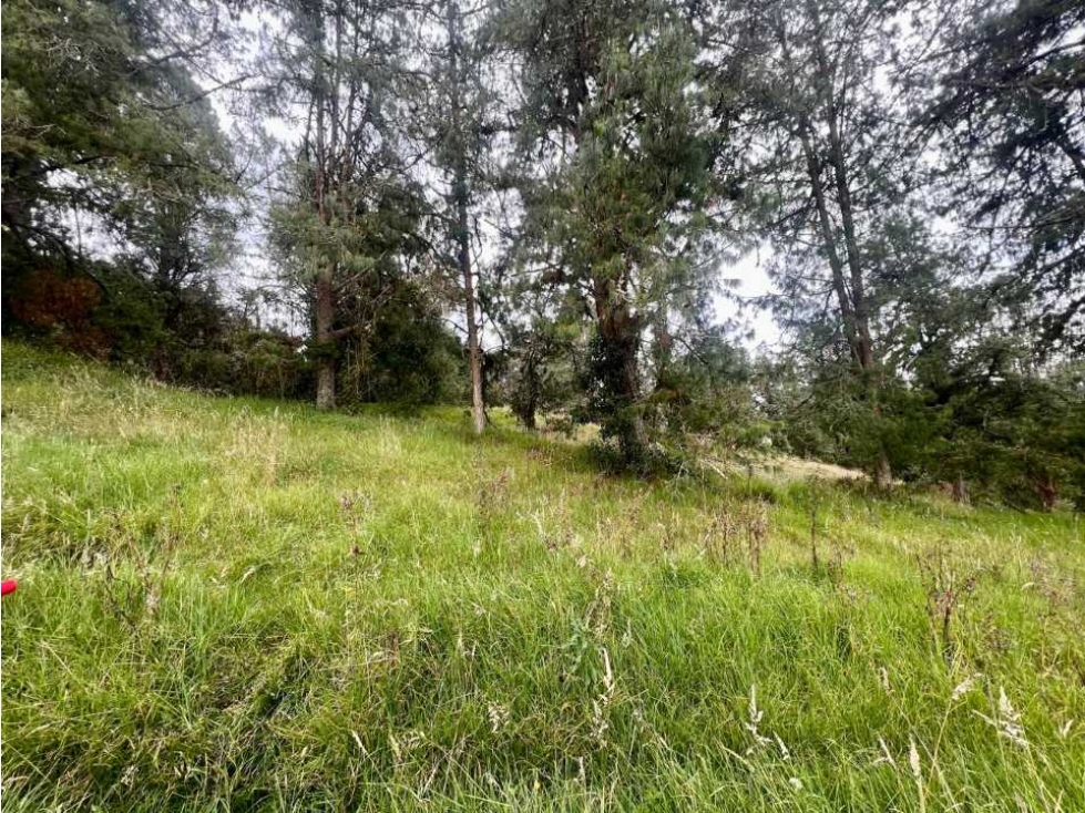 Lote con excelente vista Alto de las Palmas — foto 4