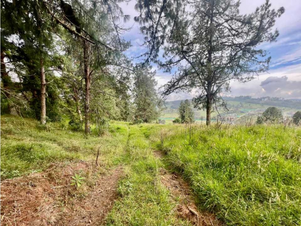 Lote con excelente vista Alto de las Palmas — foto 5