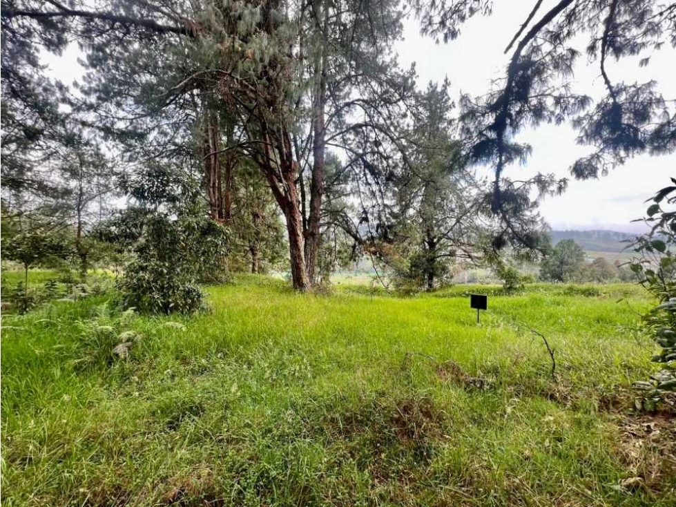 Lote con excelente vista Alto de las Palmas — foto 6