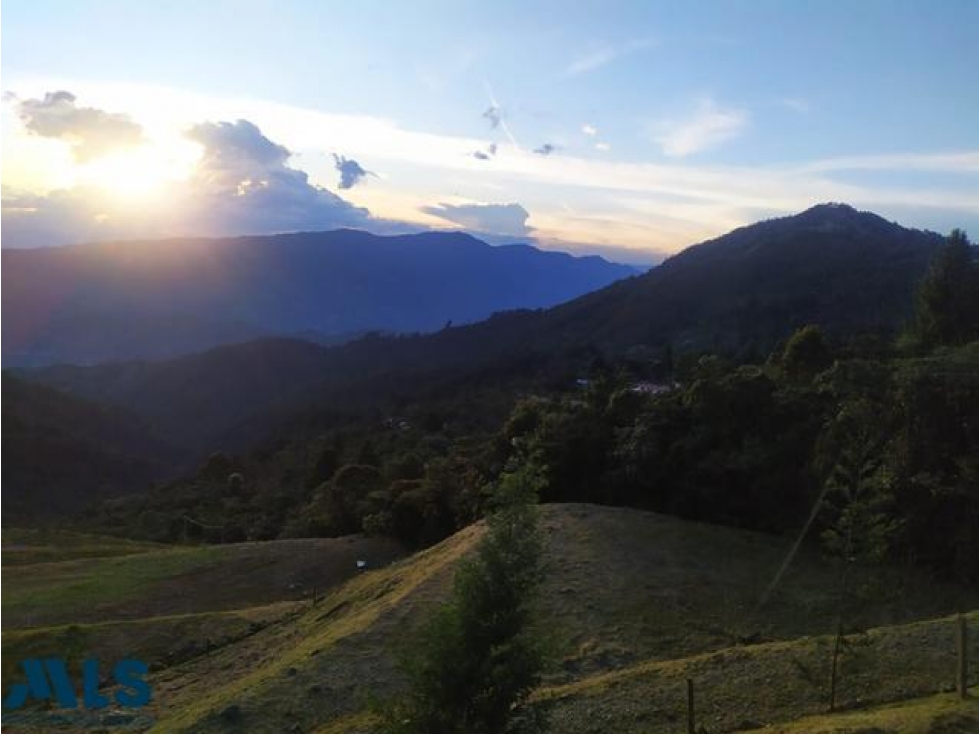 Lote con hermosa vista en La Miel, Caldas(MLS#236673) - 2
