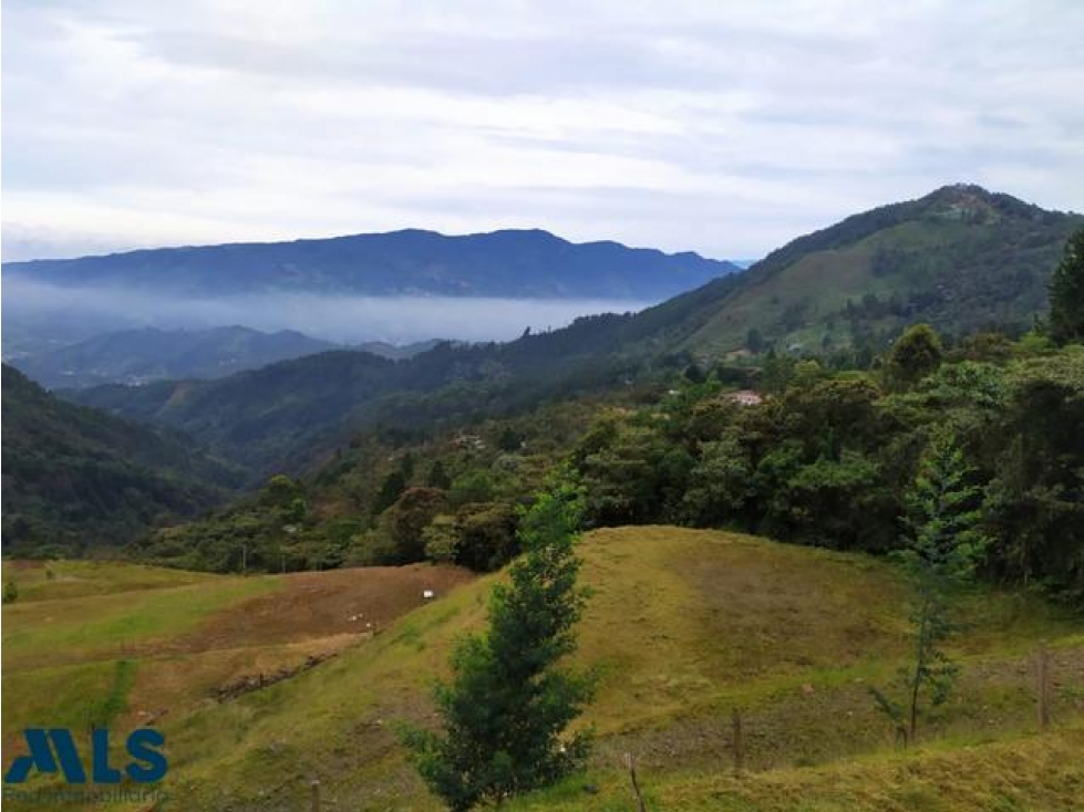 Lote con hermosa vista en La Miel, Caldas(MLS#236673) - 4
