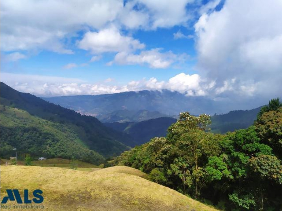 Lote con hermosa vista en La Miel, Caldas(MLS#236673) - 5