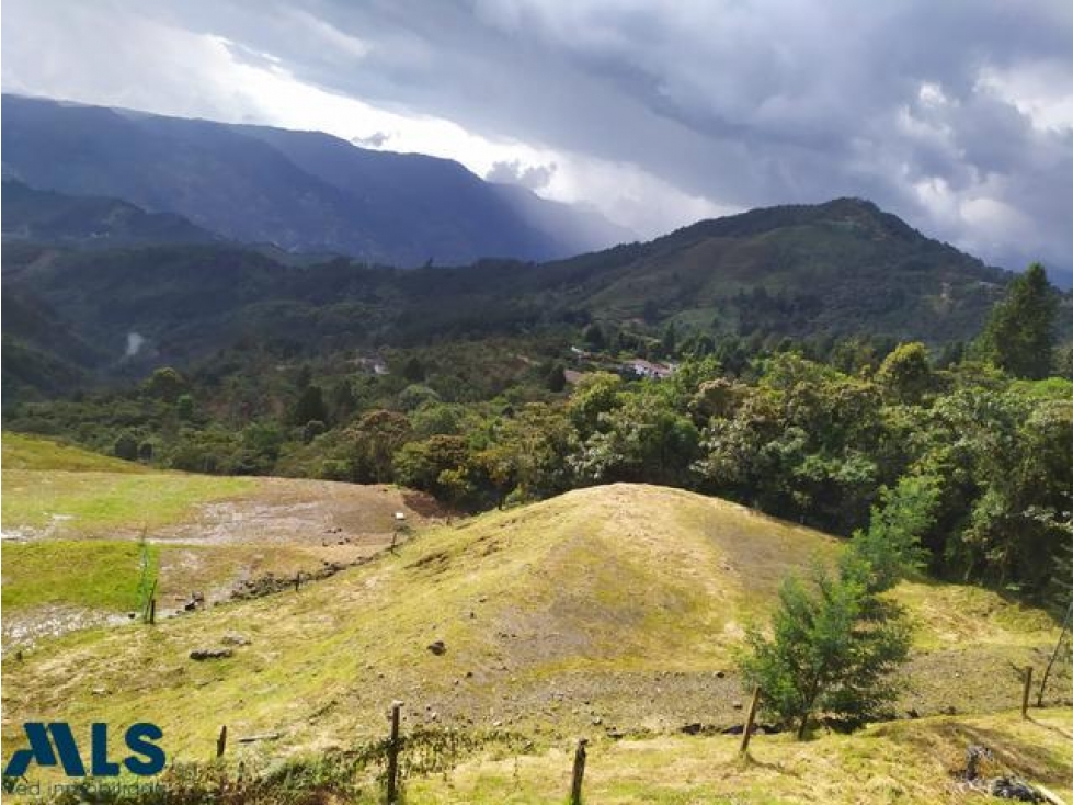 Lote con hermosa vista en La Miel, Caldas(MLS#236673) - 6