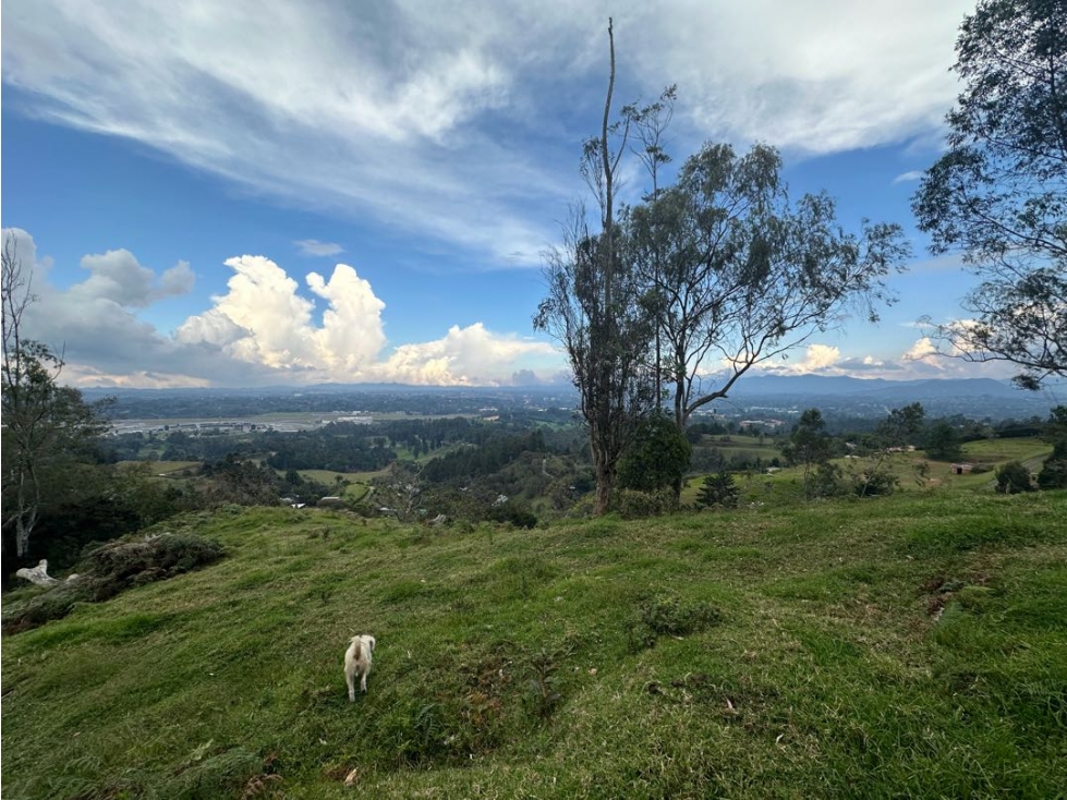 Lote con la mejor vista al aeropuerto y el valle de San Nicolás — foto 3