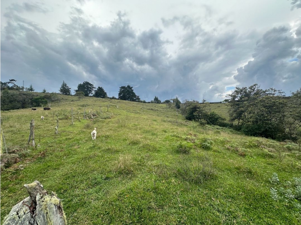 Lote con la mejor vista al aeropuerto y el valle de San Nicolás — foto 4