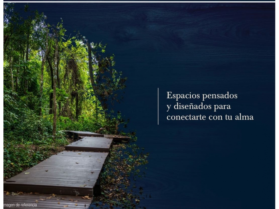 LOTE CON UNA EXCELENTE UBICACIÓN EN PARCELACIÓN EN ENVIGADO. — foto 4