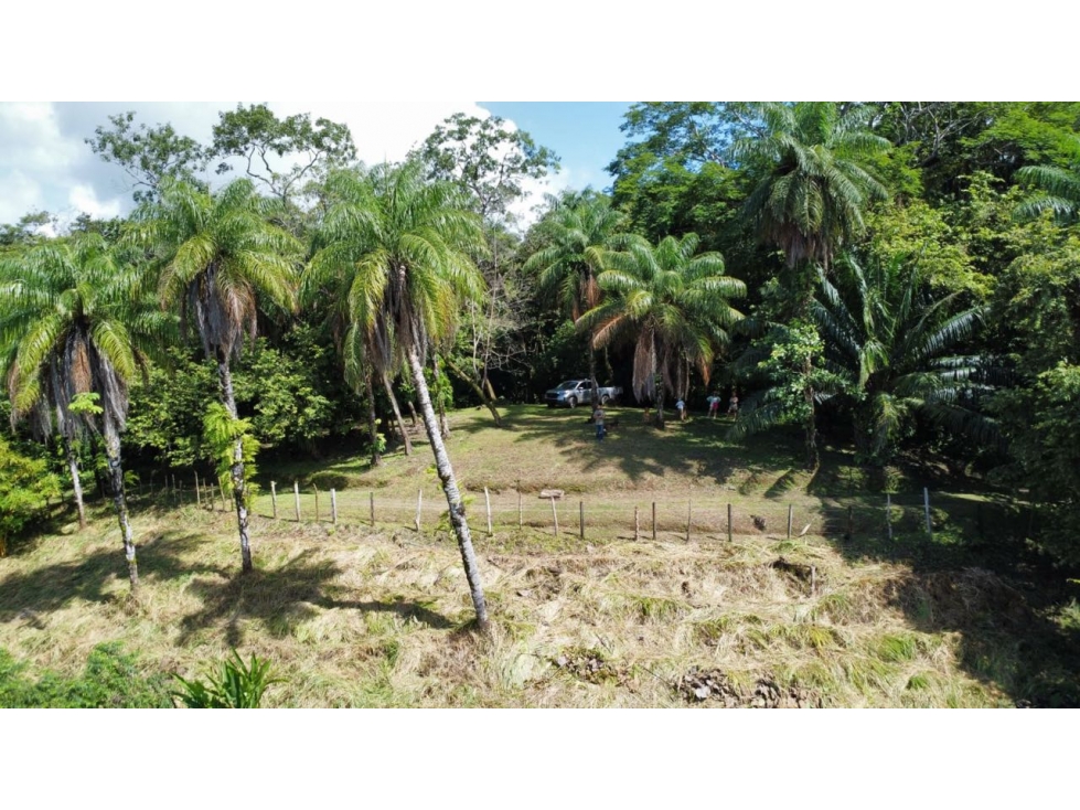 Lote Con Vista al Mar en Boca Brava - 4