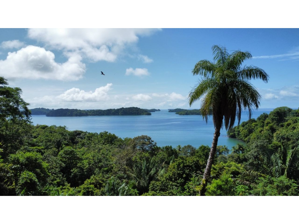 Lote Con Vista al Mar en Boca Brava - 2